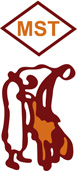 Muhammad Shafi Tanneries